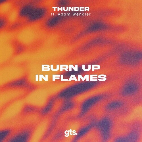 Burn up in Flames_poster_image