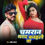 Chamran Mard Banaile Ba