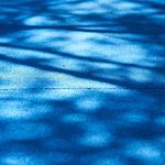 Chasing Shadows