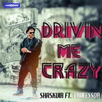 Drivin Me Crazy