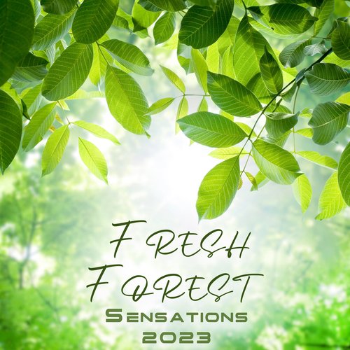 Serene Soundscapes cover art