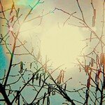 Golden Sun
