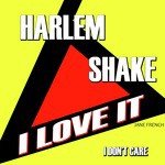 Harlem Shake I Love It I Don't Care