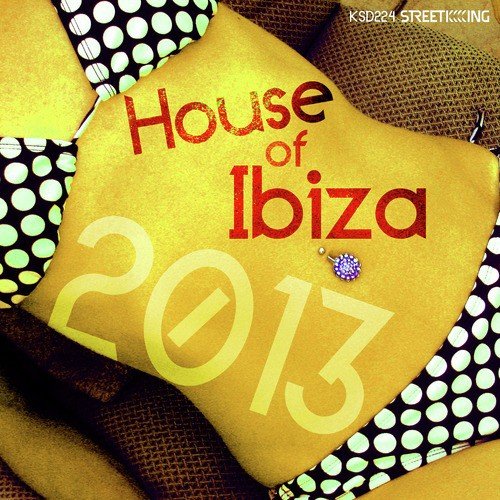 House of Ibiza 2013