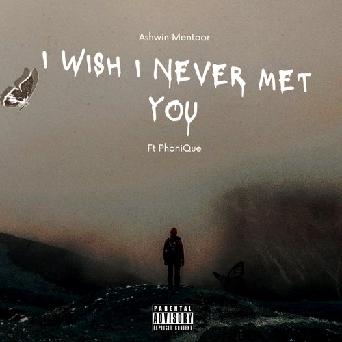 I Wish I Never Met You (Remix)