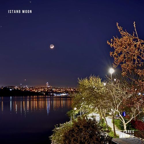 Istanbul moon
