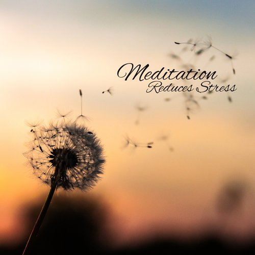 Calm Zone cover art