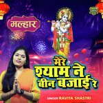 Mere Shyam Ne Been Bajai Re