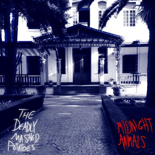 Midnight cover art