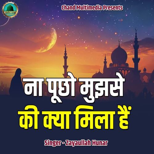 Na Pucho Mujhse Ki Kya Mila Hai