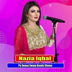 Pa Zwana Zwany Kunda Shoma