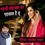 Pheli Mohobbat Ka Ehsaas Hai Tu