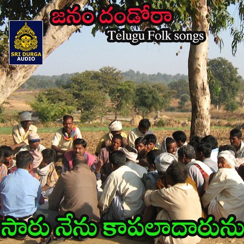 Saru Nenu Kapaladarunu (Janam Dandora)