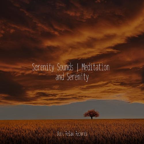 Serenity Sounds | Meditation and Serenity_poster_image