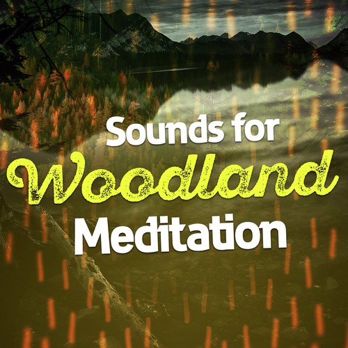Sounds for Woodland Meditation