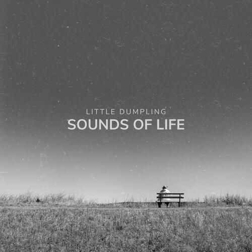 Sounds of Life_poster_image