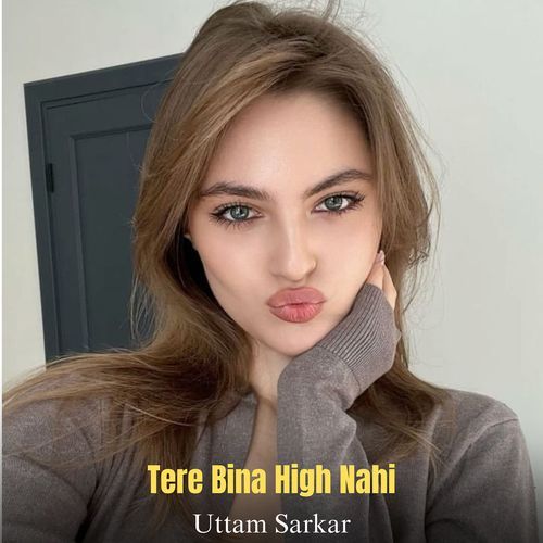 Tere Bina High Nahi