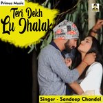 Teri Dekh Lu Jhalak (Haryanavi)