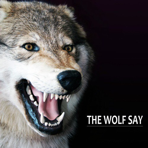 The Wolf Say_poster_image