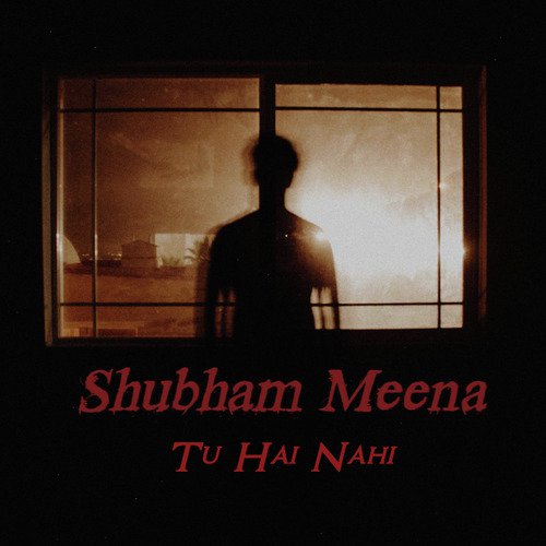 Shubham Meena