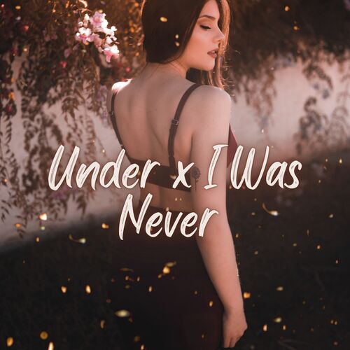 Under x I Was Never_poster_image