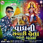 Vagh Ni Savari Vela Aavo Ambe Ma