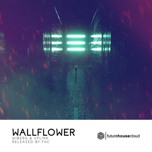 Wallflower