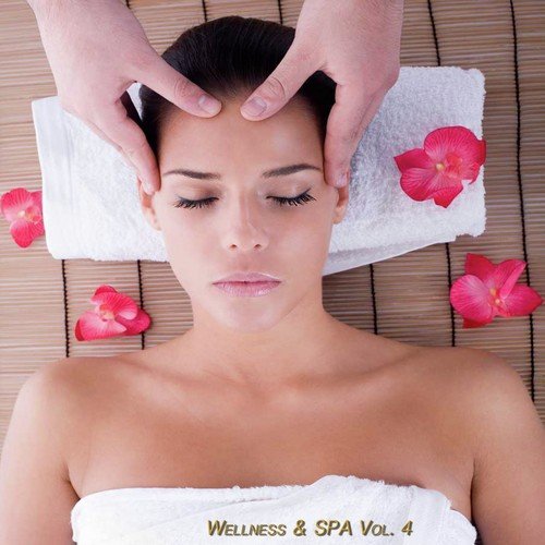 Wellness & Spa, Vol. 4 (Relax Your Mind)