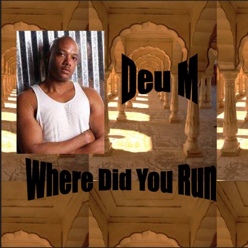 Where Did You Run_poster_image