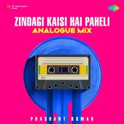 Zindagi Kaisi Hai Paheli - Analogue Mix