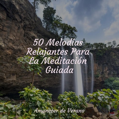 50 Melodías Relajantes Para La Meditación Guiada