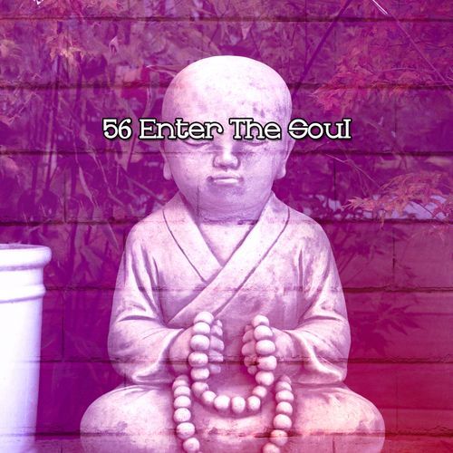 56 Enter The Soul_poster_image