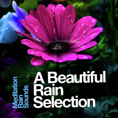 Meditation Rain Sounds cover art