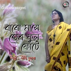 Baro mashe tero phool phote