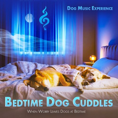 Bedtime Dog Cuddles: When Worry Leaves Dogs at Bedtime