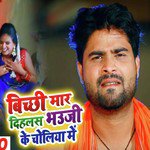 Bichhi Mar Dehlas Bhauji Ke Choliya Me