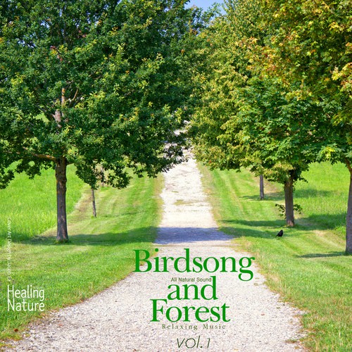 Birds Song and Forest, Vol.1