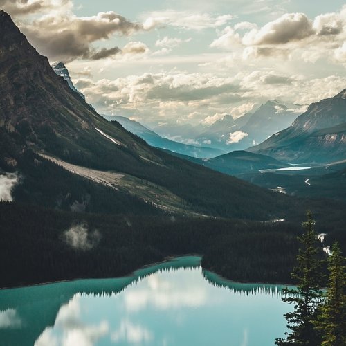Calming Melodies to Relax
