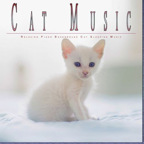 Cat Music: Relaxing Piano Background Cat Sleeping Music