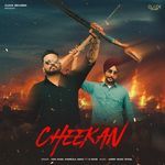 Cheekan