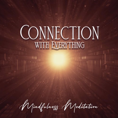 Connection with Everything: Mindfulness Meditation_poster_image