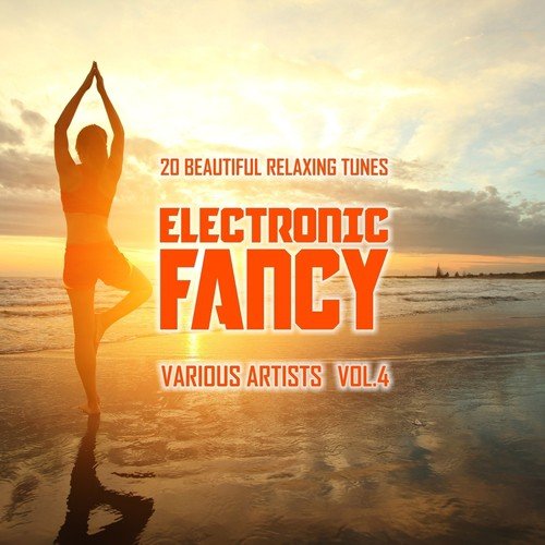 Electronic Fancy (20 Beautiful Relaxing Tunes), Vol. 4