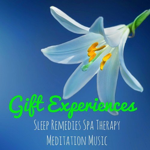 Gift Experiences - Instrumental Natural Relaxing Easy Listening Sounds for Sleep Remedies Spa Therapy Meditation Time Music_poster_image