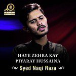 Haye Zehra Kay Piyaray Hussaina