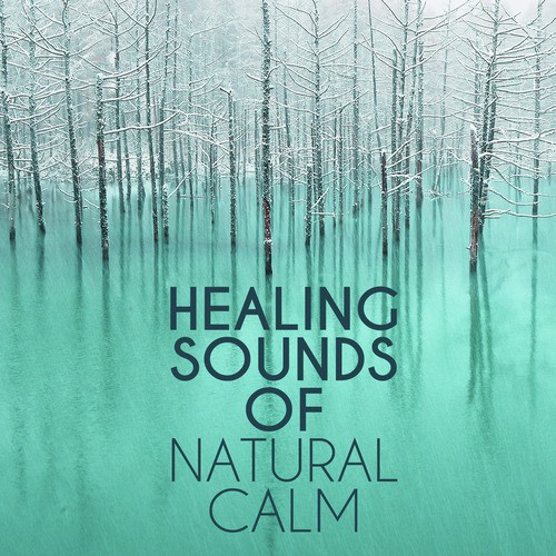 Healing Sounds of Natural Calm
