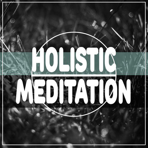 Holistic Meditation_poster_image