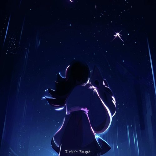 I Won't Forget cover art