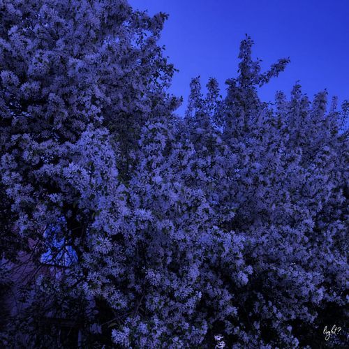 Last Evening of May (Speed Up)