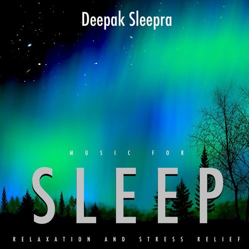 Deepak Sleepra