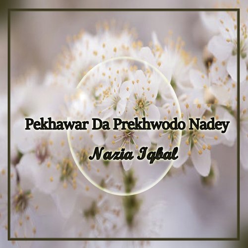 Pekhawar Da Prekhwodo Nadey